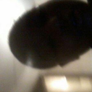 Meet your Posher, Rosie